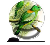 3D Tappetino Mouse Ergonomico con Schiuma di memoria Mouse Pad con Poggiapolsi Tappetino per Mouse ，Tappettino Mause per PC Confortevole Durevole -pappagallo verde anime