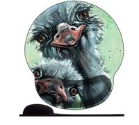 3D Tappetino Mouse Ergonomico con Schiuma di memoria Mouse Pad con Poggiapolsi Tappetino per Mouse ，Tappettino Mause per PC Confortevole Durevole -struzzo anime