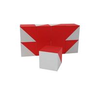 3D3 & CO - 9-Cube Kohs Brain Test Rosso e Bianco, 1 Pollice - 9 Kohs Cubes per Test e Valutazioni del QI, Puzzle IQ con Pattern Blocks, WISC-V e WAIS