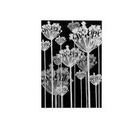 3dRose Asciugamano contemporaneo con denti di leone nero, bianco e grigio, in poliestere/cotone, multicolore, 38,1 x 55,9 cm