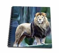 3dRose db_580_1 - Libro da disegno "Il re leone", 20,3 x 20,3 cm, multicolore