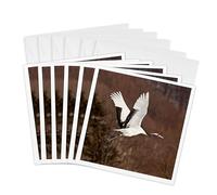 3DROSE GC 225885 _ 1 6 x 15,2 cm "Red Crowned Cranes in Snow, Hokkaido" Auguri (confezione da 6)
