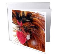 3DROSE GC 6428 1 6 x 15,2 cm "Polish gallo biglietto d' auguri (confezione da 6)