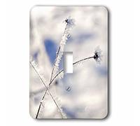 3dRose Hoarfrost on Branches in Winter Snow is Covering The Landscape Interruttore a levetta Singolo, Multicolore