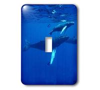 3DROSE llc. Lsp 10692 _ 1 B004PRAKPY North Atlantic Humpback Whales Migrate South to the Silver Banks to Breed and have their calves-single interruttore a levetta, multicolore