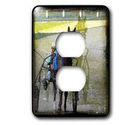 3dRose LLC lsp_11403_6 - Cover per presa a 2 spine di Angelandspot