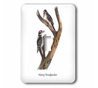 3DROSE llc. Lsp 114055 _ 1 Hairy Woodpecker by John James audubon-single interruttore a levetta, multicolore