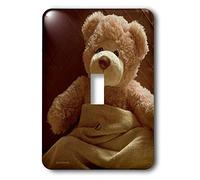 3dRose LLC lsp_12016_1 Home Sick From The Bear Foot Societytm, interruttore singolo