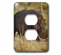 3dRose LLC lsp_132119_6 Tanzania, Serengeti, Moru Kopjes, Hippos Af45 Jmc0030 - Copertura per presa Joe and Mary Ann Mcdonald 2