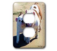 3dRose LLC lsp_13738_6 You Belong with Me - Coperchio per presa 2