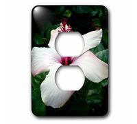 3dRose LLC. lsp_167500_6 - Ibisco hawaiano, è piante da fiore nella famiglia malva, 2 tappi di copertura, bianco