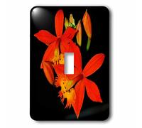 3DROSE llc. Lsp 179649 _ 1 a macro photo of miniature Tropical orchids-single interruttore a levetta, arancione