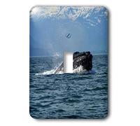 3dRose LLC lsp_21605_1 Humpback Whale che rondina un morso di aringhe dall'Oceano Pacifico nell'Alaska sud-orientale