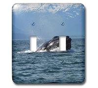 3dRose LLC lsp_21605_2 Humpback Whale che rondina un morso di aringhe dall'Oceano Pacifico nell'Alaska sud-orientale