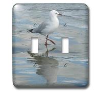 3dRose LLC lsp_22814_2 Gabbiano Wading at The Ocean S Edge Whangaparaoa Nuova Zelanda Doppio interruttore a levetta