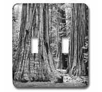 3DROSE llc. Lsp 229912 _ 2 B01J8HV6IA usa, California, Yosemite National Park. Sequoia trees-double interruttore a levetta, multicolore