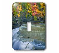 3dRose LLC. lsp_231324_1 USA, New York, Letchworth State Park Waterfall and Forest Scenic - Interruttore a levetta, multicolore