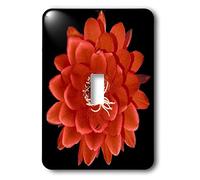 3dRose LLC lsp_32364_1 Decorativo Colorato Giardino Botanico Classico Pianta Sw Sud-Ovest Deserto Cactus Rosso Nero Fiore Singolo Interruttore A Toggle