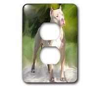 3dRose LLC lsp_4241_6 American Pit Bull Terrier, 2 tappi di uscita