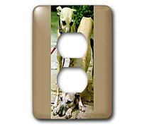 3dRose LLC lsp_518_6 Whippet 2 Tappo di copertura