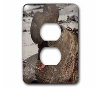 3dRose LLC. lsp_86518_6 Southern Elephant Seal, Isole Falkland - Sa09 Pox0433 - Pete Oxford, 2 tappi di protezione, multicolore