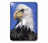 3DROSE llc. Lsp 87574 _ 1 Bald Eagle, Unalaska Island, Aleutians, alaska-us02 ksc0024-kevin schafer-single interruttore a levetta, multicolore