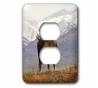 3dRose LLC lsp_87701_6 Moose Bull Wildlife, Denali National Park, Alaska Us02 Ska3065 Steve Kazlowski 2 Plug Outlet Cover