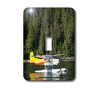 3dRose LLC lsp_87751_1 Ak Interno Passaggio Galleggiante Aereo Us02 Tdr0003 Trish Drury Interruttore a levetta singola