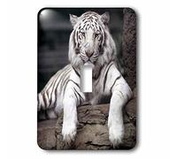 3DROSE LLC Lsp 88641 1 White Tiger at the Sacramento Zoo California US05 TAU0014 Tananarive Aubert singolo interruttore a levetta
