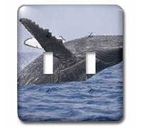 3dRose LLC lsp_89831_2 Hawaii, Big Island, Humpback Whale Breaching Us12 Pso0005 Paul Souders Doppio interruttore a levetta