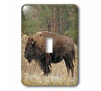 3dRose LLC. lsp_94285_1 South Dakota, Custer State Park Bison In Autunno - US42 Bja0001 - Jaynes Gallery - Interruttore a levetta singolo, multicolore