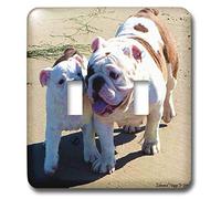 3dRose lsp_13738_2 - Interruttore doppio "You Belong with me"