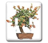 3dRose lsp_13926_2 Penjing Bonsai con doppio interruttore a levetta con fiori arancioni