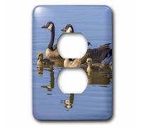 3dRose lsp_142897_6 - Copripresa a 2 prese "Canada Goose Birds San Francisco Bay, California USA Us05 Tno0064 Tom Norring", multicolore