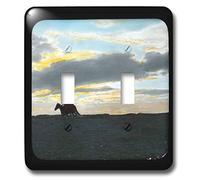 3dRose lsp_16131_2" Indiano Rider In Tramonto Orizzonte Nel Sud-Ovest Americano" Interruttore a levetta