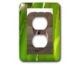 3dRose lsp_17732_6 - Copertura per presa a 2 prese con elefante della giungla