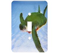 3dRose lsp_180651_1 - Copertura per interruttore luce subacquea