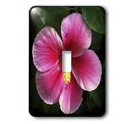 3dRose Lsp_19107_1 Hibiscus Flower Shades Of Pink Single Toggle Switch
