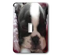 3dRose lsp_22237_1 - Interruttore singolo per cuccioli di Boston Terrier