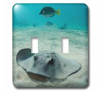 3DROSE Lsp 228986 _ 2 Diamond Stingray Dasyatis Brevis Galapagos Islands Ecuador doppio interruttore a levetta, multicolore