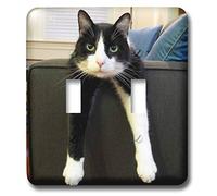 3DROSE Lsp 23450 2 nero e bianco gatto con nulla a doppio interruttore a levetta