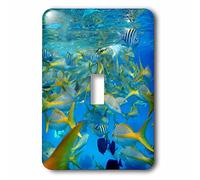 3dRose LSP_236595_1 - Interruttore a levetta per pesci colorati nell'oceano,