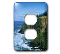 3dRose lsp_24852_6 Pittura ad olio digitale Oregon Coast High Cliffs Pounding Onde Ocean 2 Presa Coperchio