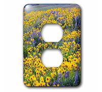 3dRose LSP_279645_6 Primavera Bloom of Flowers, Dalles Mountain State Park, Washington Plug Outlet, Misto