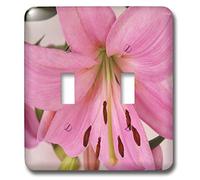 3dRose lsp_29196_2 - Interruttore orientale a levetta, colore: Rosa chiaro