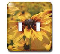 3dRose lsp_36169_2 Bellissimo interruttore a levetta con occhi rossi e gialli neri Susan Flowers