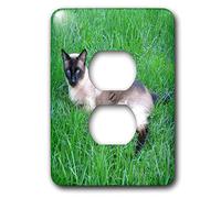 3dRose lsp_4495_6 Siamese Cat 2 - Copertura presa presa presa