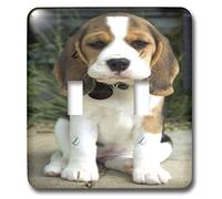 3dRose lsp_49290_2 - Interruttore a levetta per cuccioli di Beagle