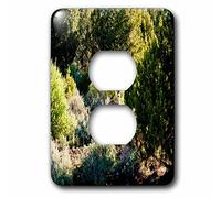 3dRose LSP_51965_6 Un cervo appena fuori dalla strada nella Pine Valley, Utah Guardando da una distanza in montagne Outlet Cover