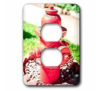 3dRose lsp_52000_6 - Idrante per fuoco rosso vivace su alcune rocce di fronte a un prato verde e rigoglioso nello Utah meridionale, 2 tappi per presa, multicolore